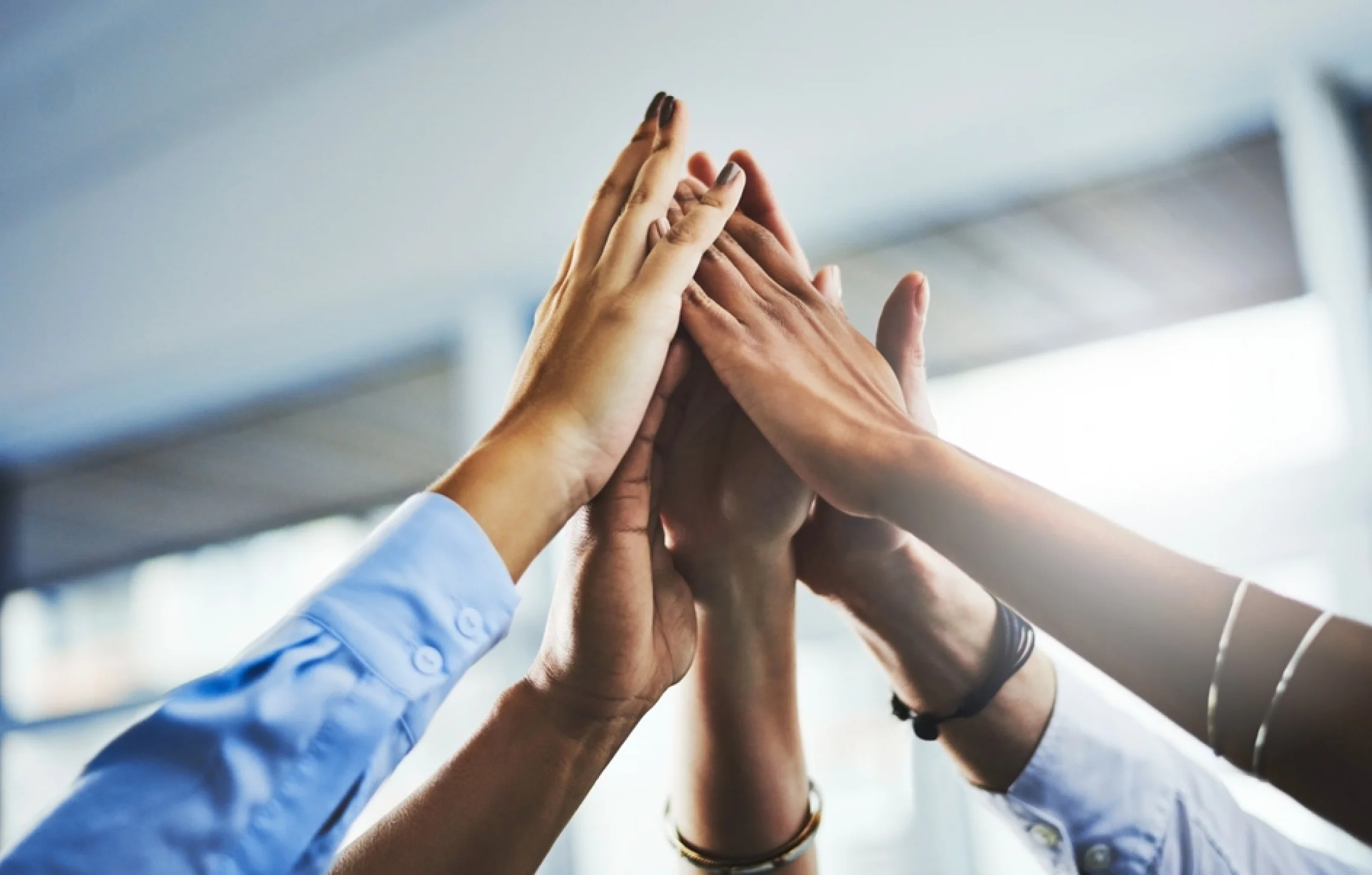 shutterstock_2482097215