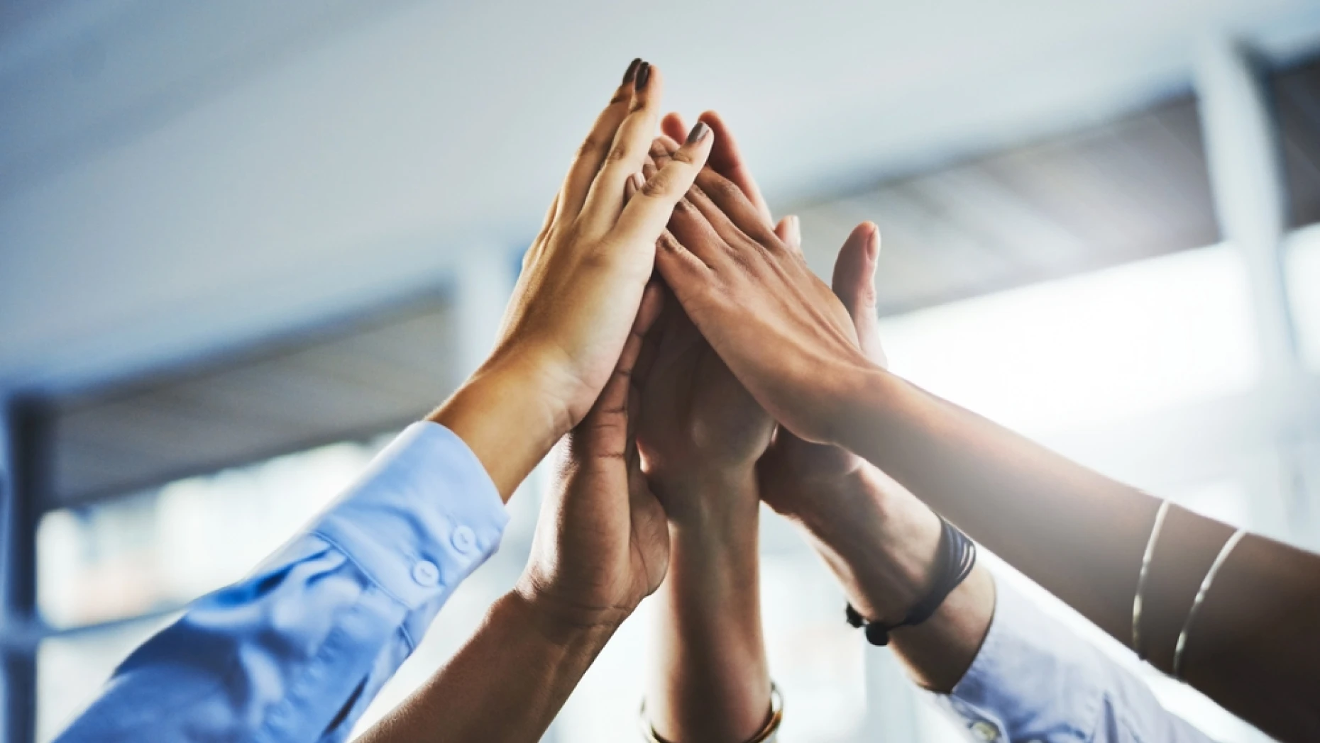 shutterstock_2482097215